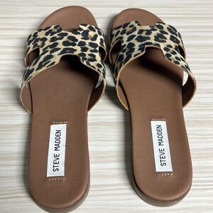 Steve Madden Leopard Print Women's Sandals!! EUC!!